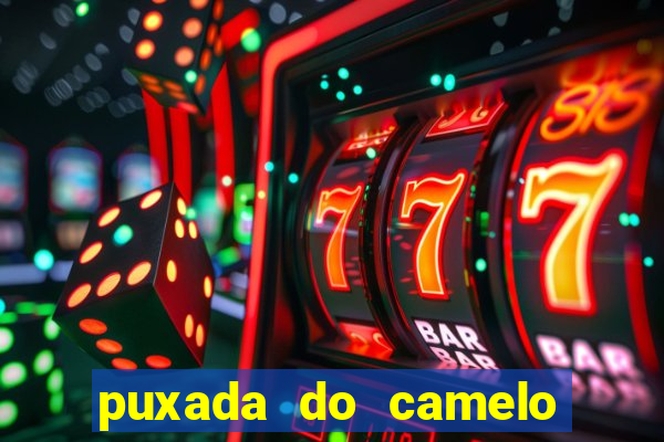 puxada do camelo jogo do bicho